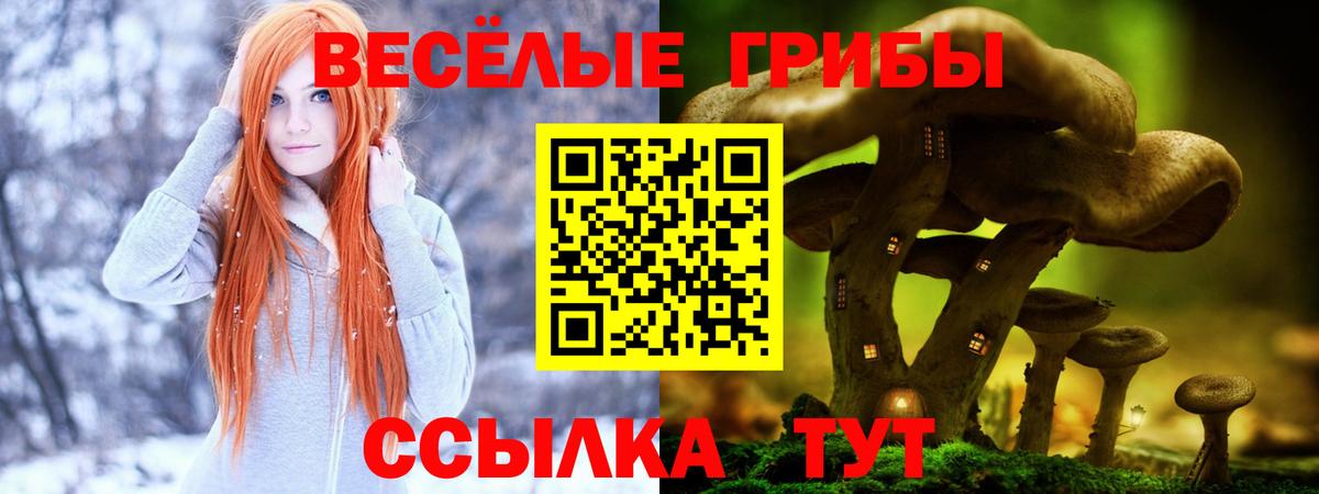 Галлюциногенные грибы прущие грибы  Псилоцибиновые грибы мицелий  Вход с VPN  Иваново 